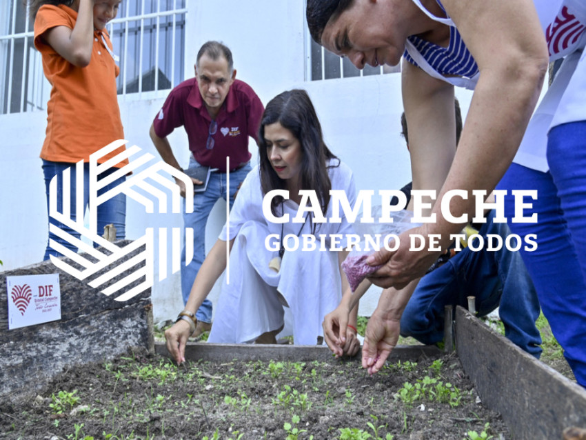 Instalación de Huertos Escolares 2