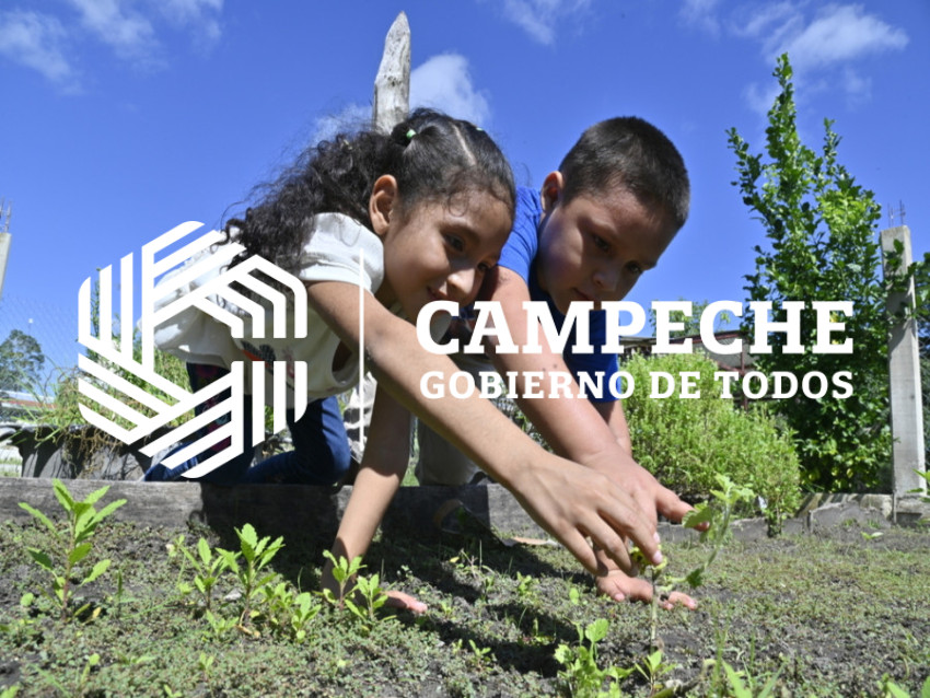 Instalación de Huertos Escolares 3