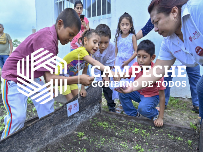 Instalación de Huertos Escolares 4