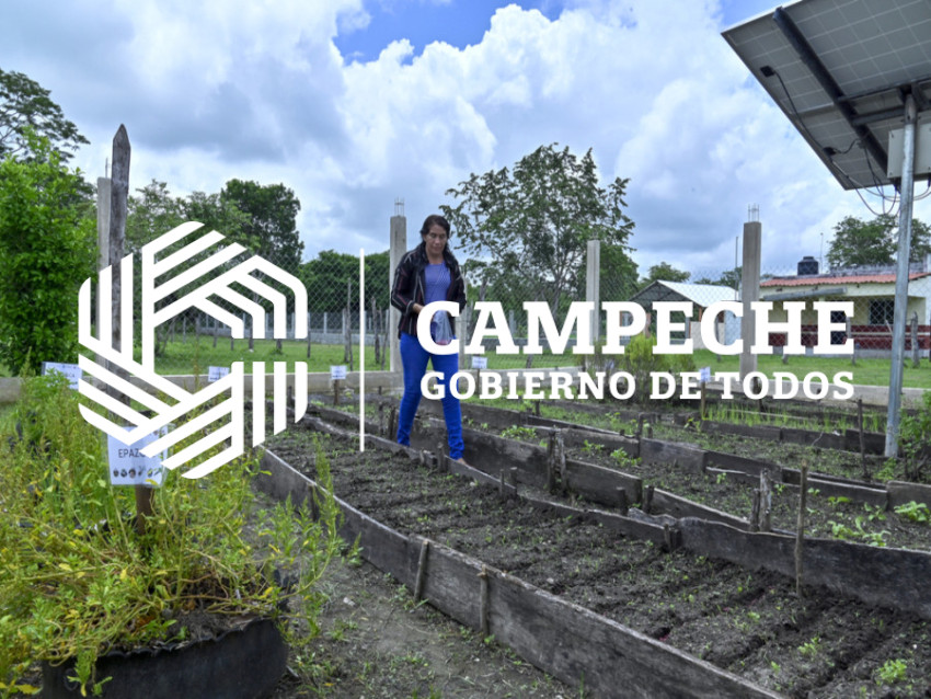 Instalación de Huertos Escolares 5