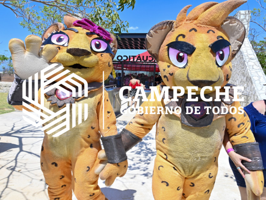 Línea del Jaguar 9-1 -1 (6)