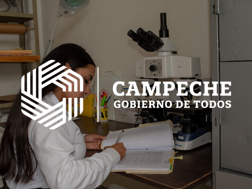 INVESTIGACIÓN DELICTIVA Y CONCILIACIÓN CIUDADANA