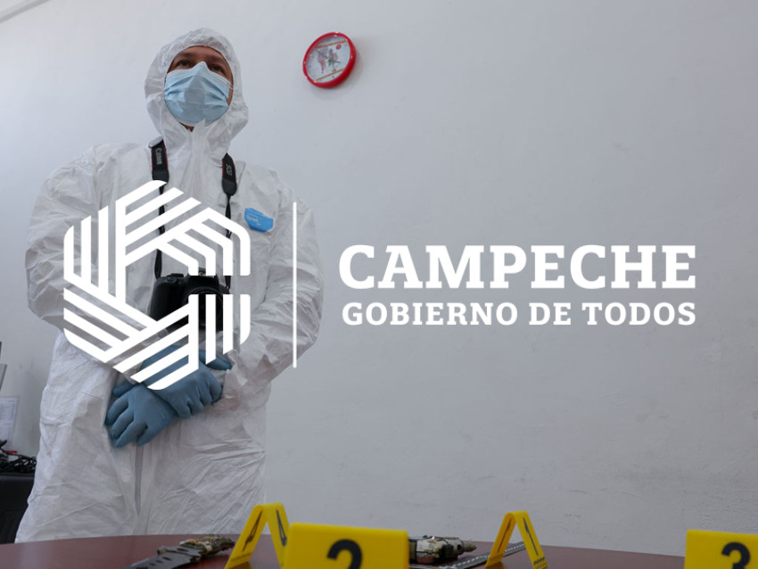 INVESTIGACIÓN DELICTIVA Y CONCILIACIÓN CIUDADANA