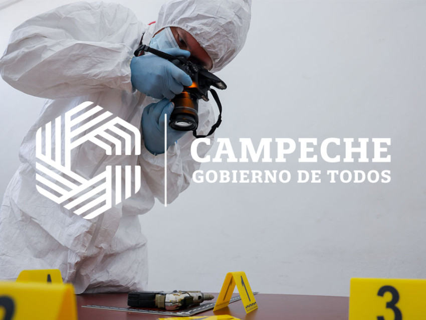 INVESTIGACIÓN DELICTIVA Y CONCILIACIÓN CIUDADANA