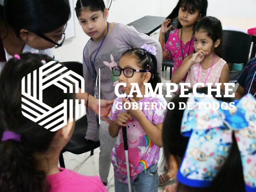 CURSO DE VERANO INCLUSIVO