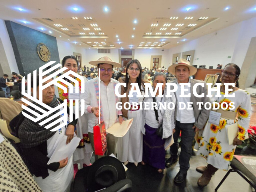 CONSULTAS A LOS PUEBLOS INDIGENAS