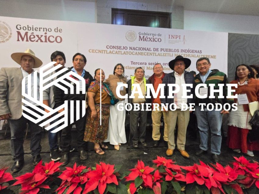 CONSULTAS A LOS PUEBLOS INDIGENAS