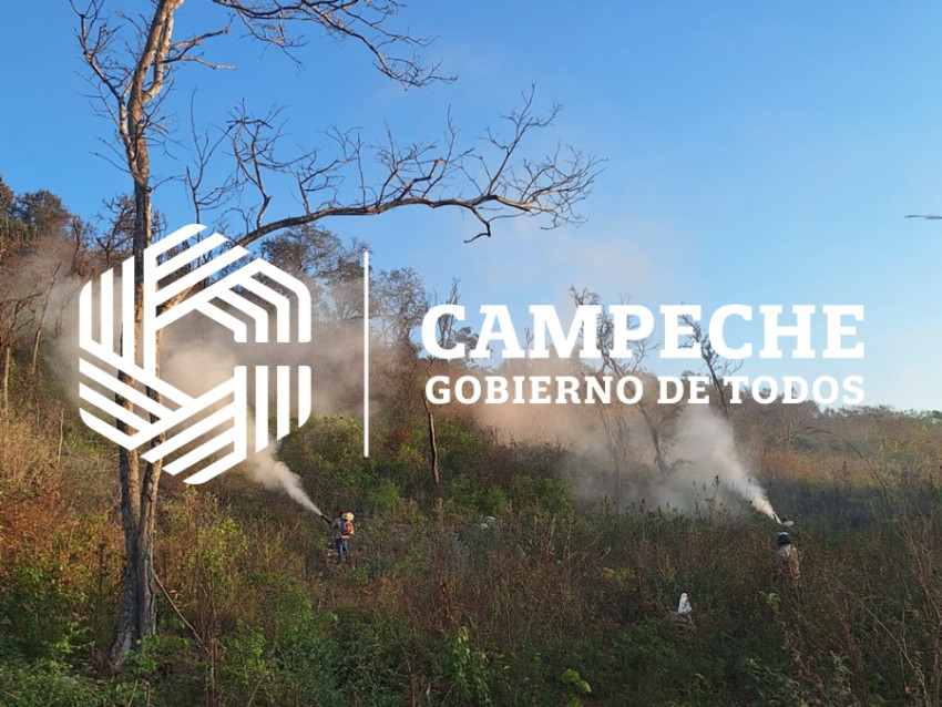 Campaña contra la langosta 2