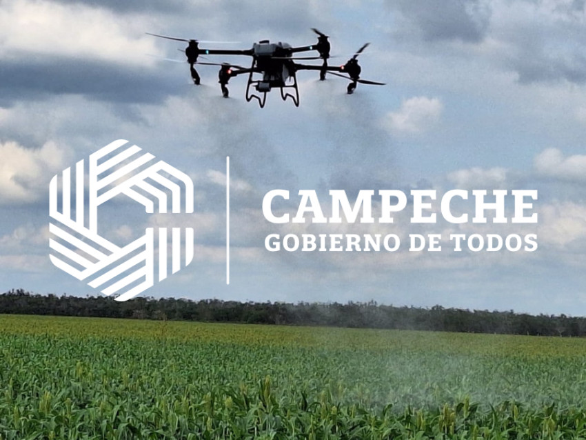 Campaña contra la langosta 3