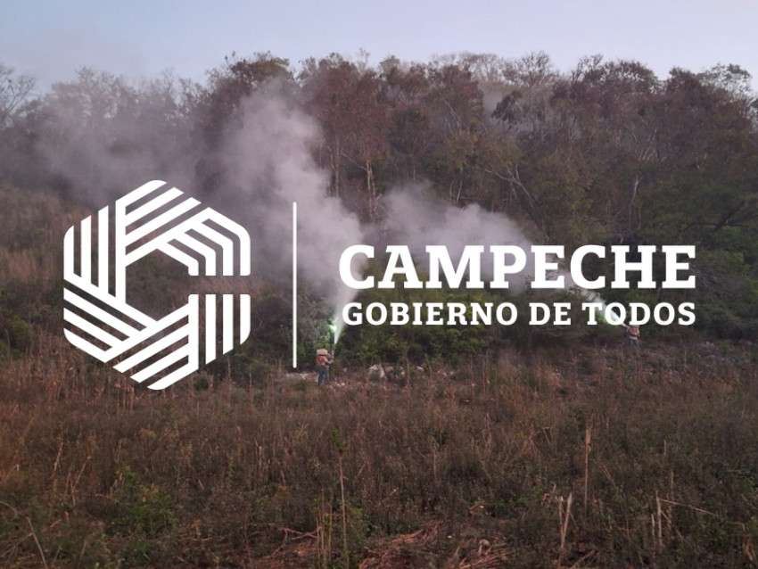 Campaña contra la langosta 4