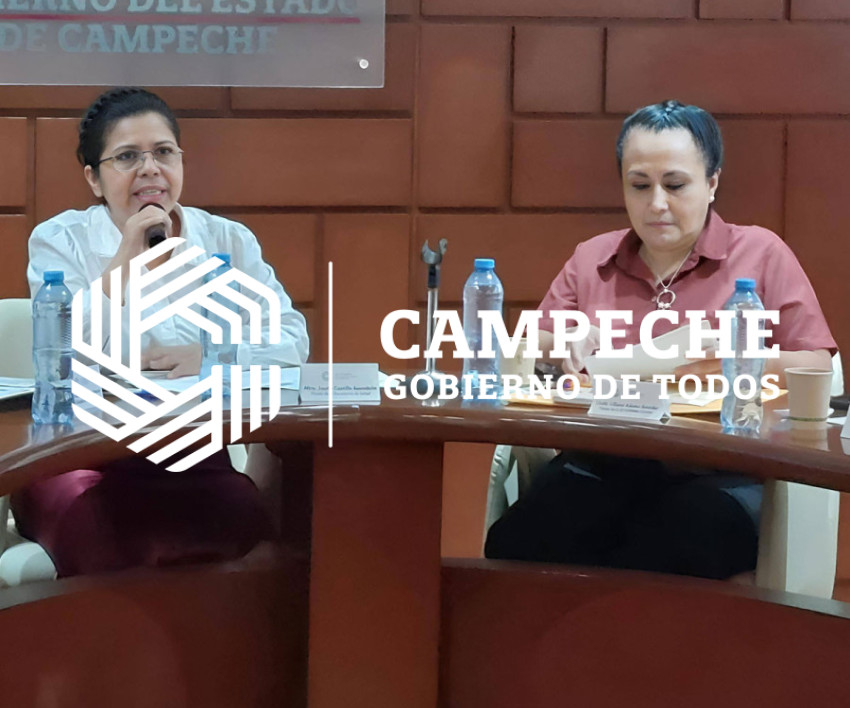 WhatsApp Image 2024 08 13 at 15 53 03