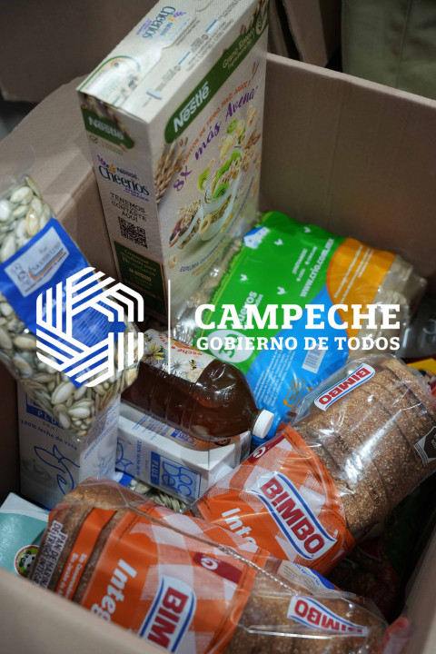 SEGURIDAD ALIMENTARIA DESPENSAS