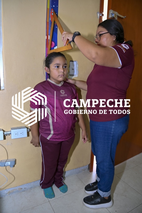 Censo de niñas y niños 3